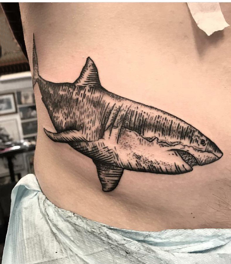 点击大图看下一张：百乐动物纹身 男生侧腰上黑色的鲨鱼纹身图片