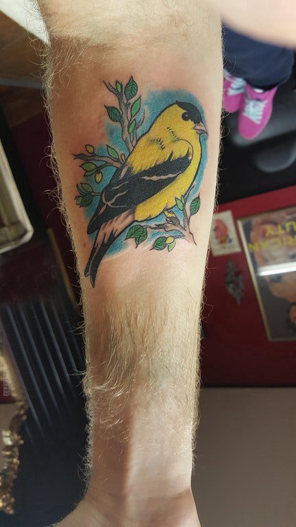 点击大图看下一张：手臂纹身图片 男生手臂上彩色的小鸟纹身图片