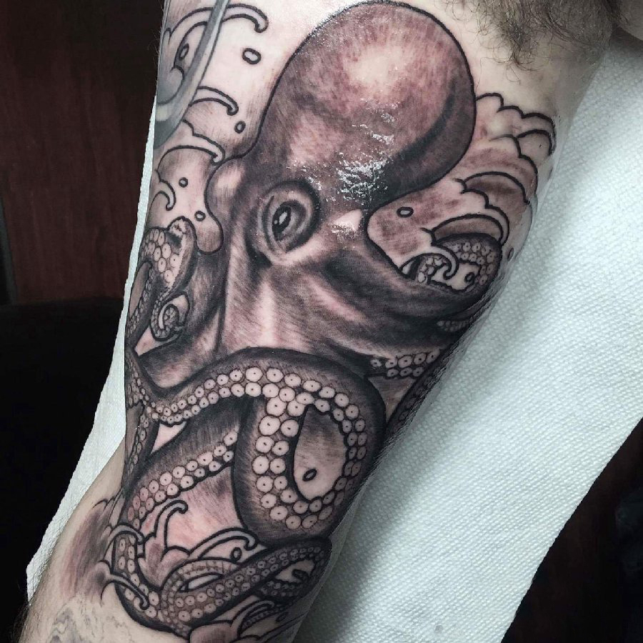 点击大图看下一张：双大臂纹身 男生大臂上黑色的章鱼纹身图片