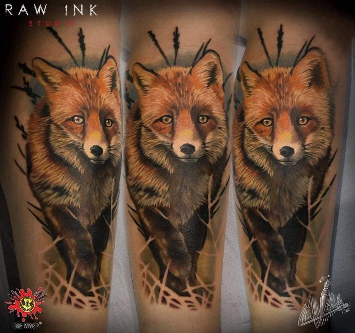 点击大图看下一张：彩色狐狸纹身 男生手臂上彩色狐狸纹身图片