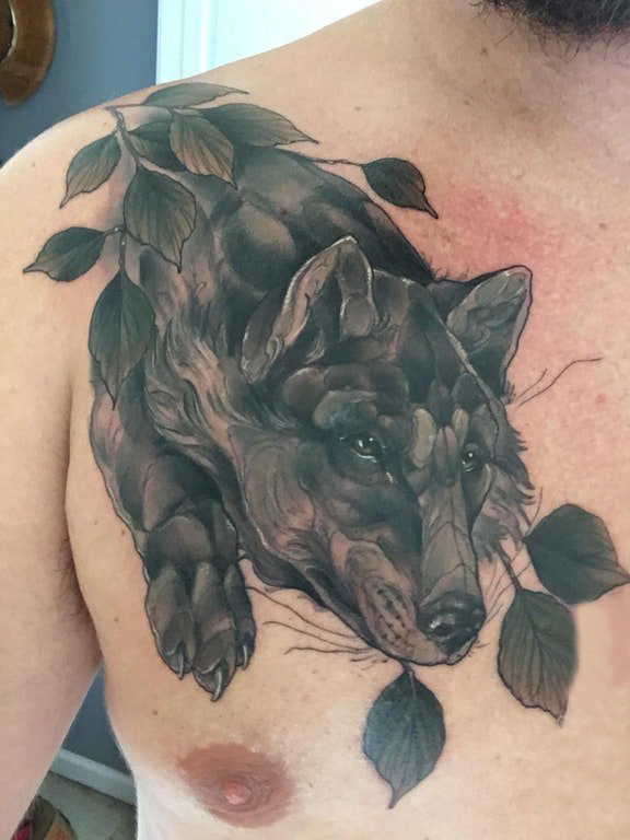 点击大图看下一张：纹身狼图案 男生胸部纹身狼图案