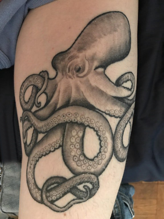点击大图看下一张：黑色章鱼纹身 男生手臂上黑色章鱼纹身动物图片