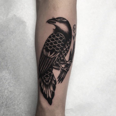 点击大图看下一张：纹身动物  男生手臂上黑色的鸟纹身图片