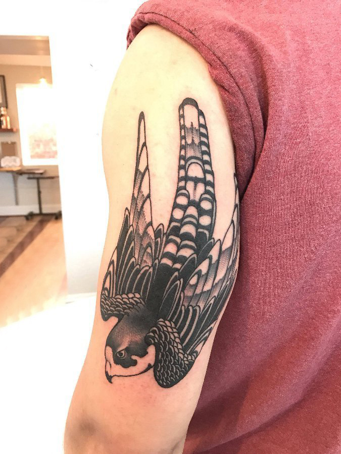 点击大图看下一张：纹身鸟 男生手臂上黑灰纹身鸟图片