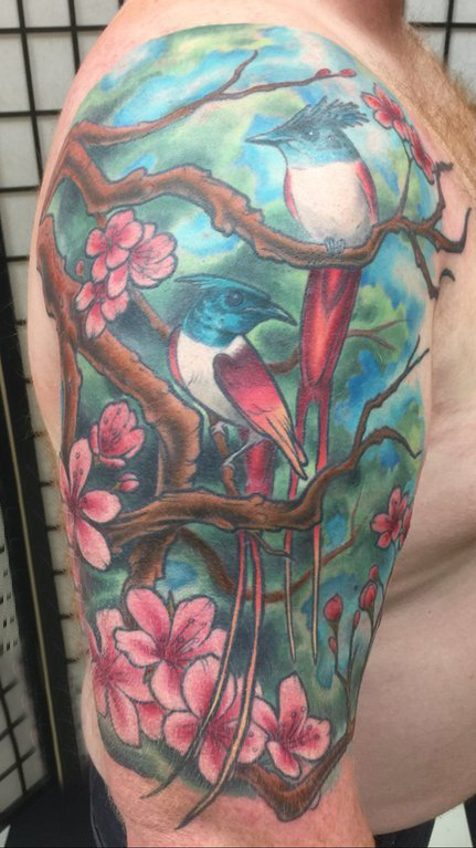 点击大图看下一张：纹身鸟 男生手臂上文艺花朵纹身鸟图片