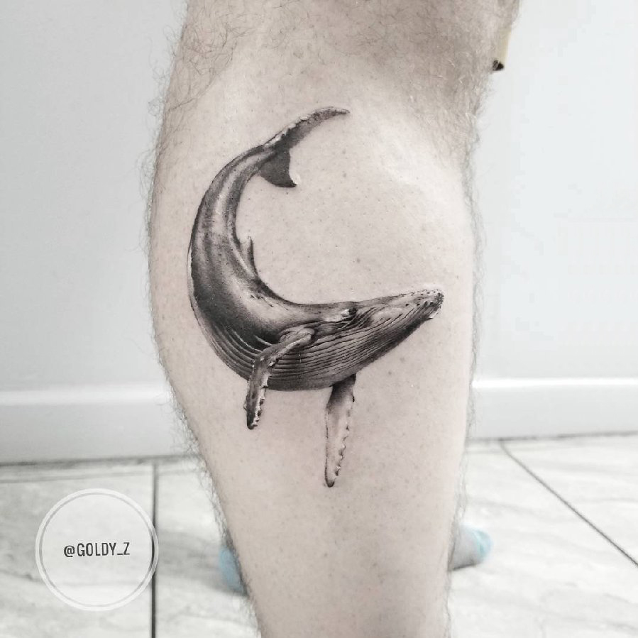 点击大图看下一张：百乐动物纹身 男生小腿上黑色的鲸鱼纹身图片