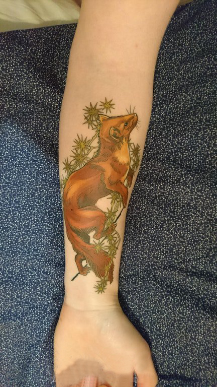 点击大图看下一张：手臂纹身素材 女生手臂上植物和动物纹身图片