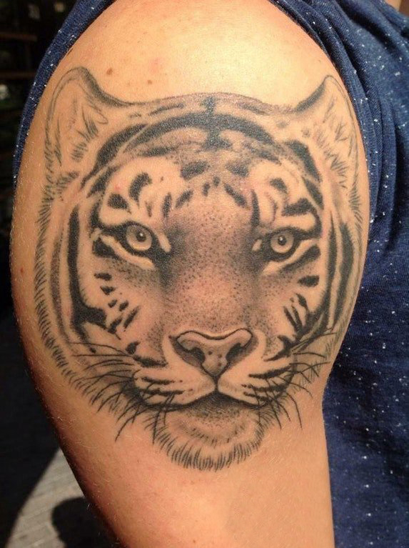 点击大图看下一张：双大臂纹身 男生大臂上黑色的老虎纹身图片