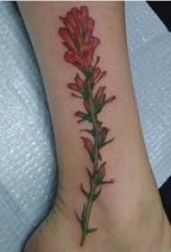 植物纹身 女生小腿上彩色的火焰草植物纹身图片