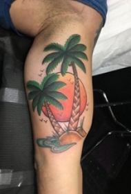 椰树纹身图 男生小腿上彩色的椰树纹身图片