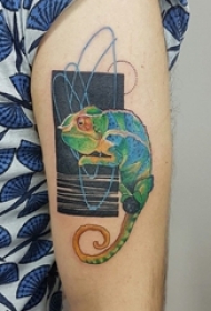 百乐动物纹身 男生手臂上彩色的变色龙纹身图片