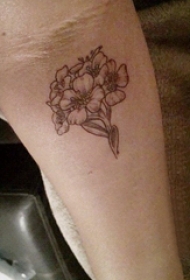 花朵纹身图案 男生手臂上花朵纹身图案