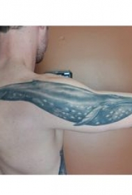 纹身鲸鱼 男生大臂上黑色的鲸鱼纹身图片