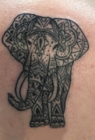 百乐动物纹身 男生后背上黑色的大象纹身图片
