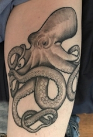 黑色章鱼纹身 男生手臂上黑色章鱼纹身动物图片