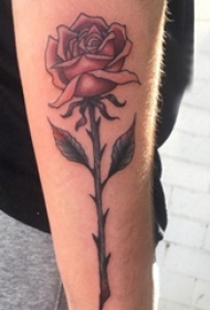 玫瑰小清新纹身 女生手臂上彩色的玫瑰花纹身图片
