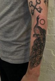 孔雀毛纹身 男生手臂上黑色的孔雀纹身图片