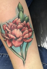 康乃馨纹身图案 女生手臂上彩色的康乃馨纹身图片