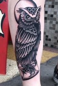 纹身猫头鹰 男生小腿上黑色的猫头鹰纹身图片