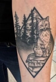 小清新猫咪纹身 男生手臂上黑色的猫咪纹身图片