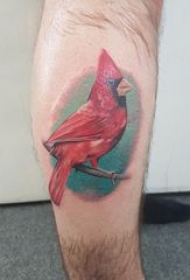 纹身鸟 男生小腿上彩色的鸟纹身图片