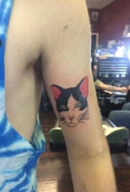 手臂纹身素材 男生手臂上彩色的猫咪纹身图片