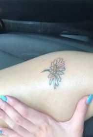 小雏菊纹身 女生大腿上彩色的雏菊纹身图片