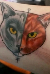 小猫咪纹身 男生手臂上彩色的小猫咪纹身图片