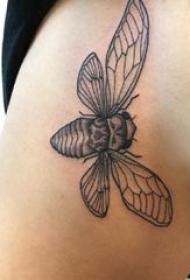 百乐动物纹身 女生侧腰上黑色的昆虫纹身图片