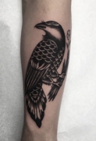 纹身动物  男生手臂上黑色的鸟纹身图片
