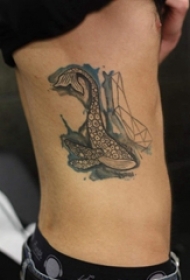 纹身鲸鱼 男生侧肋上素描纹身鲸鱼图片