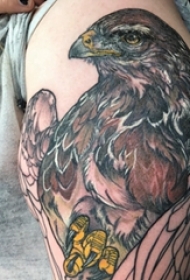 纹身老鹰图案 女生手臂上彩绘纹身老鹰图案