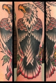 手臂纹身素材 男生手臂上彩色的老鹰纹身图片