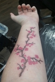 樱花纹身 女生手臂上彩色的樱花纹身图片