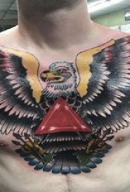 彩色老鹰纹身 男生胸部三角形和老鹰纹身图片