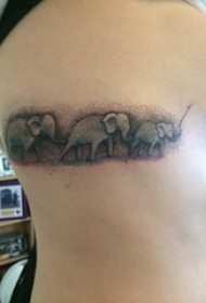 侧腰纹身图 女生侧腰上黑色的大象纹身图片