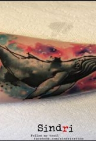 鲸鱼纹身 女生手臂上鲸鱼纹身图片