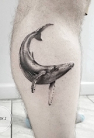 百乐动物纹身 男生小腿上黑色的鲸鱼纹身图片