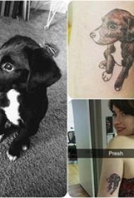 纹身动物 女生大臂上黑色的小狗纹身图片