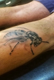 小动物纹身 男生小腿上黑色的蜜蜂纹身图片