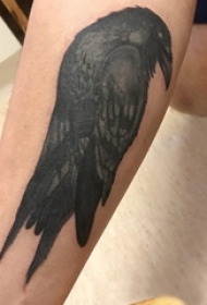 纹身鸟 男生小腿上鸟纹身图片