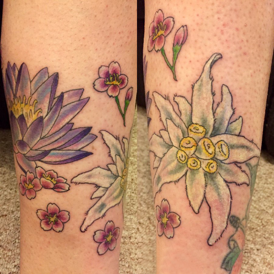 点击大图看下一张：花朵纹身 女生小腿上花朵纹身彩色图片