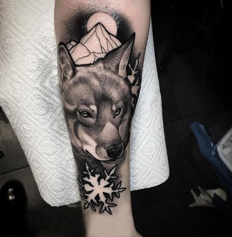 点击大图看下一张：狼纹身 男生手臂上狼纹身动物图片
