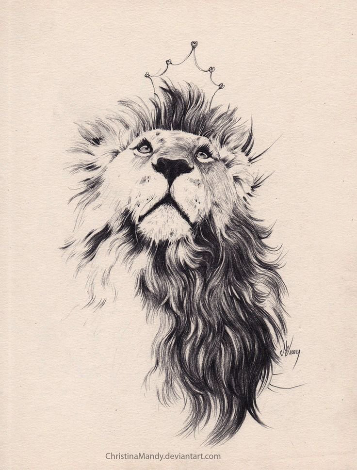 点击大图看下一张：纹身狮子头手稿 黑灰纹身动物纹身狮子头手稿