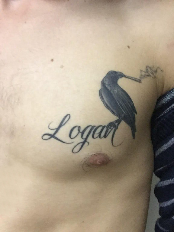 点击大图看下一张：纹身胸部男 男生胸部黑色的乌鸦和英文纹身图片