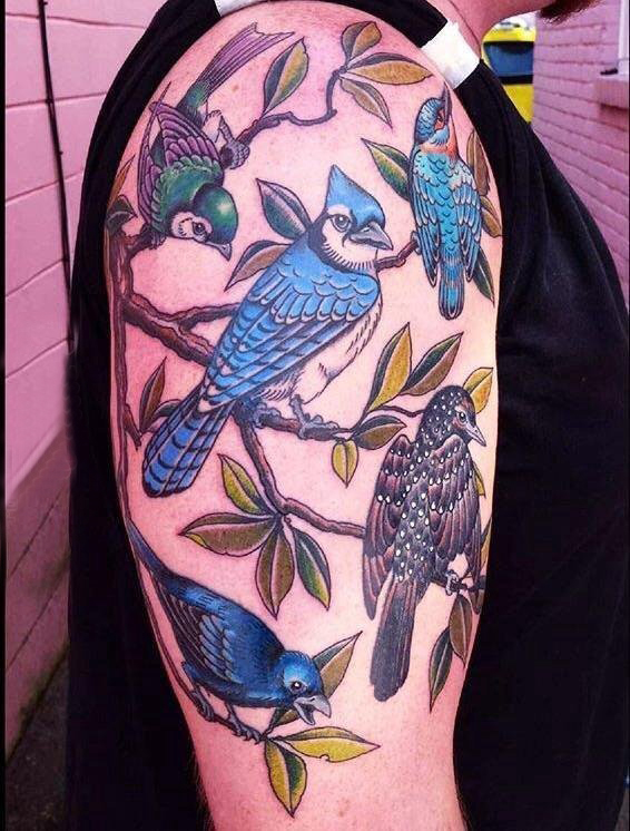 点击大图看下一张：鸟纹身 女生手臂上鸟纹身动物图片
