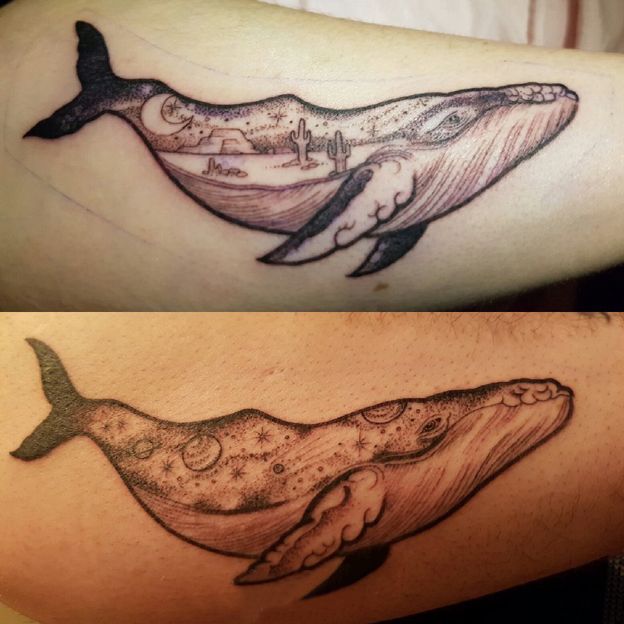 点击大图看下一张：纹身鲸鱼 男生手臂上简单线条纹身鲸鱼图片