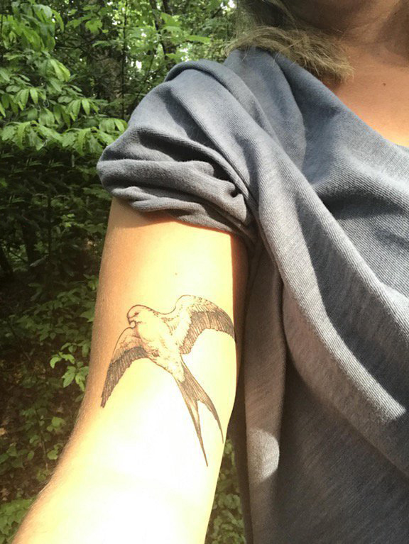 点击大图看下一张：纹身燕子 女生手臂上黑色的燕子纹身图片