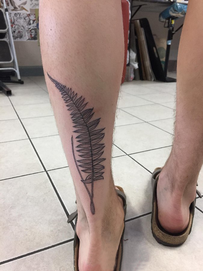 点击大图看下一张：纹身叶子图案 男生小腿上黑色的叶子纹身图片