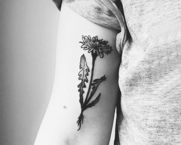 点击大图看下一张：文艺花朵纹身 女生手臂上黑灰纹身花朵纹身图片